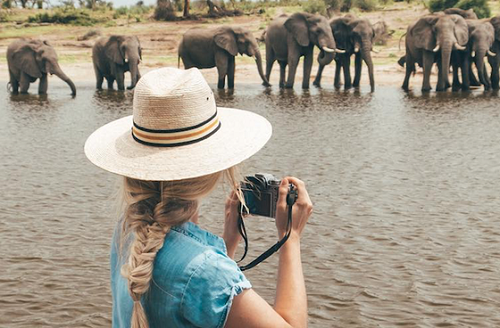Bestes Kenia Safari Tour Paket
