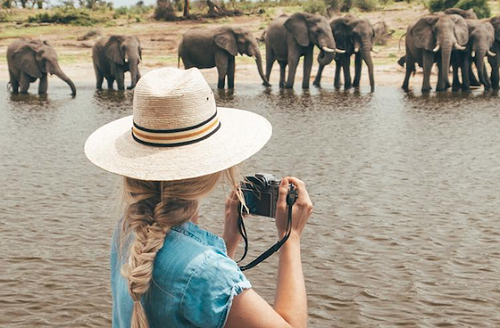 Il miglior pacchetto di tour safari in Kenya