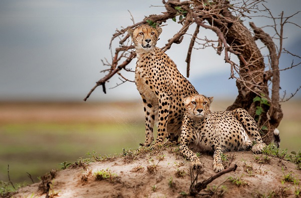 La experiencia del mundo real en Tanzania